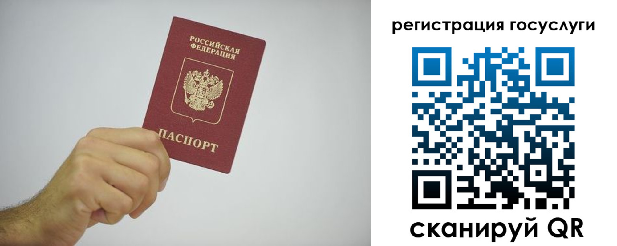 временная регистрация гарантия в Балтийске